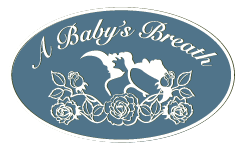 A Baby's Breath - Helping clients develop the skills they need to provide a stable and loving environment for their children